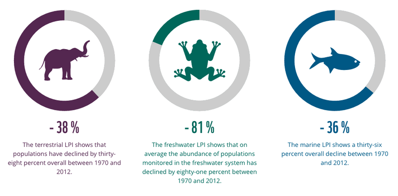 Image: World Wildlife Fund